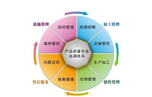 产品追溯系统有哪些公司，是怎样开发系统的？