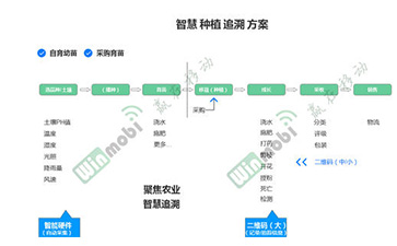 茶叶91香蕉视频黄片下载溯源系统具有哪些优势价值?