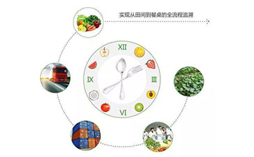 二维码91香蕉视频黄片下载溯源系统能带什么优势及功能?