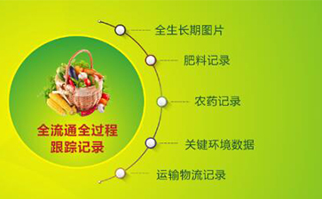 坚果有了追溯系统,让生产过程透明化